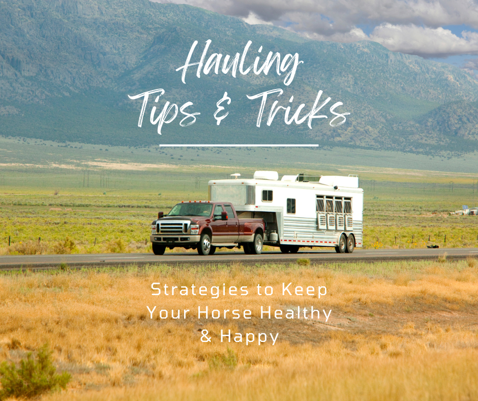 Hauling Tips & Tricks: Strategies To Keep Your Horse Healthy & Happy 