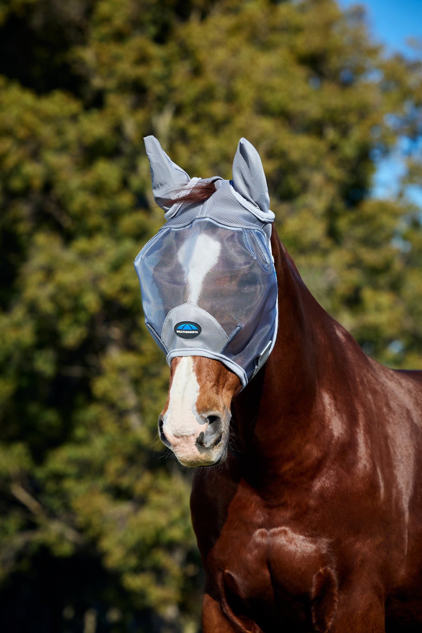 Weatherbeeta Comfitec Fine Mesh Fly Mask with Ears- Grey