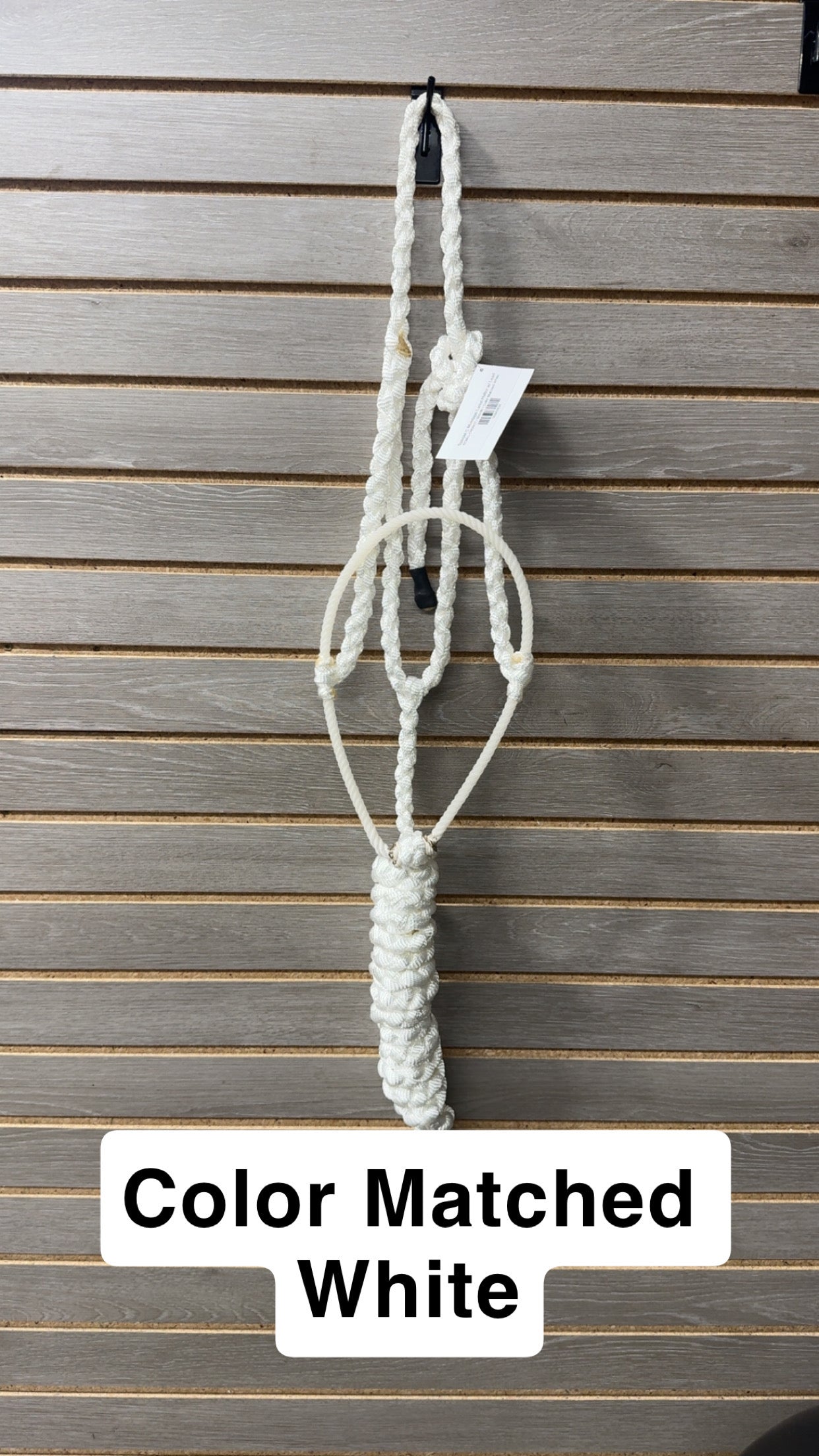 Special C Muletape Lariat Halter w/ Lead