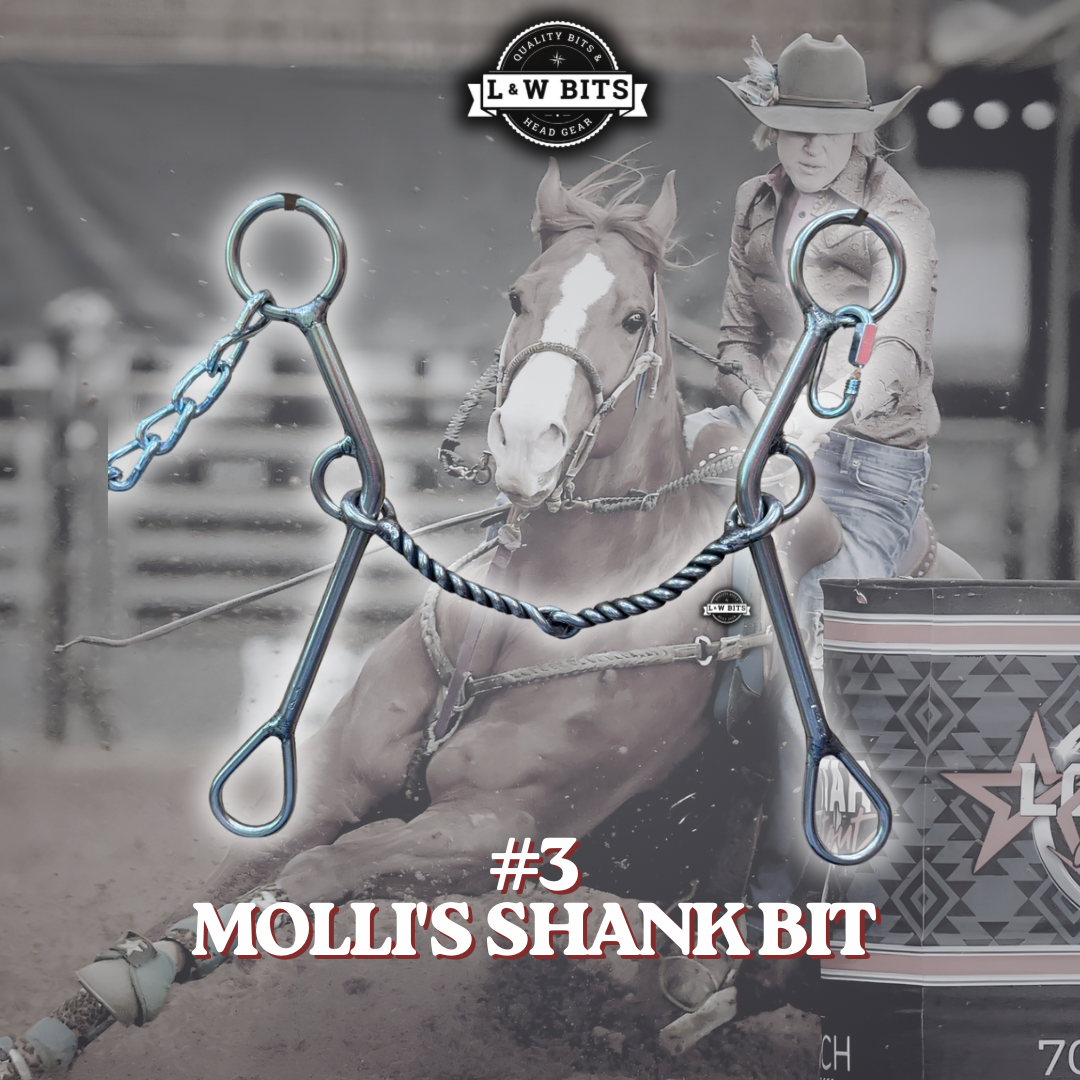 L&W #Molli's Shank Bit #3