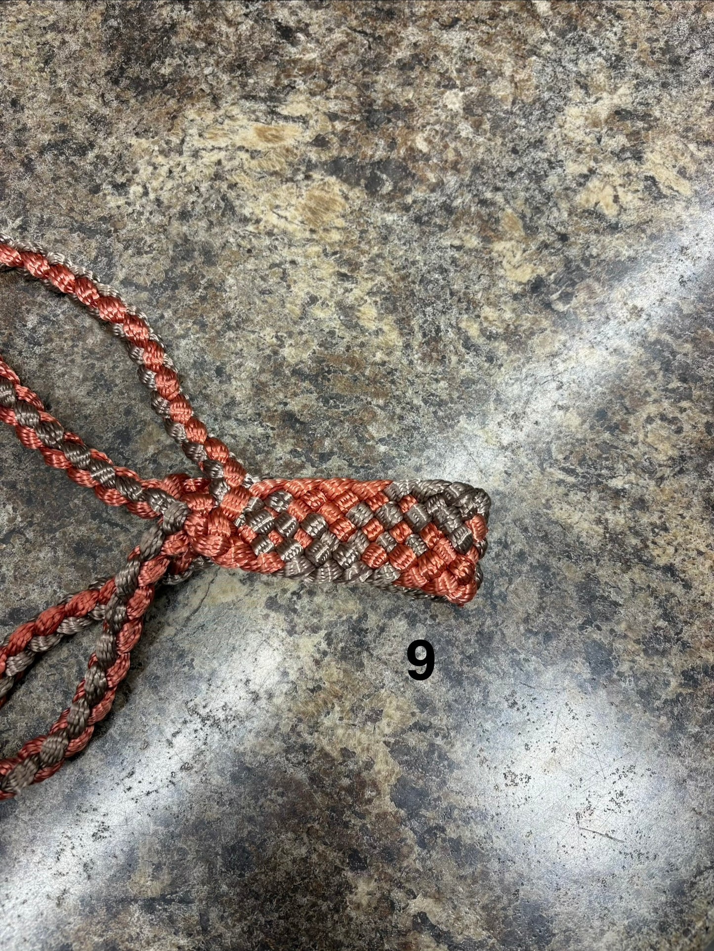 LMB Mule Tape Halter - Multicolor