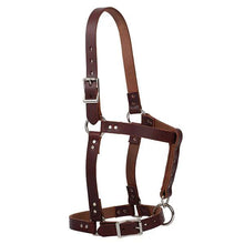 Load image into Gallery viewer, Weaver Riveted Foal Halters
