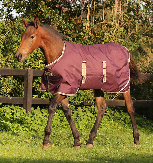 Fig Horseware Amigo® Ripstop Foal Turnout (200g Medium) Winter Blanket
