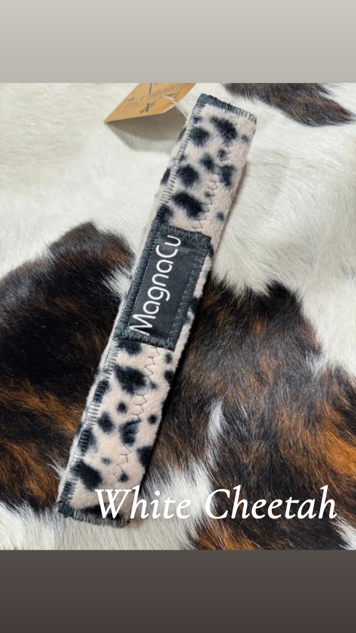 PHT Magnetic Poll Pack