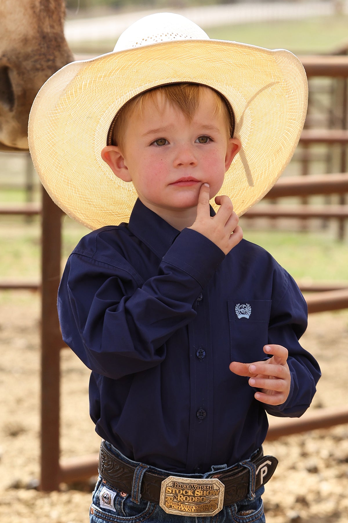 Cinch Boy's Toddler Solid Royal Blue Western Shirt