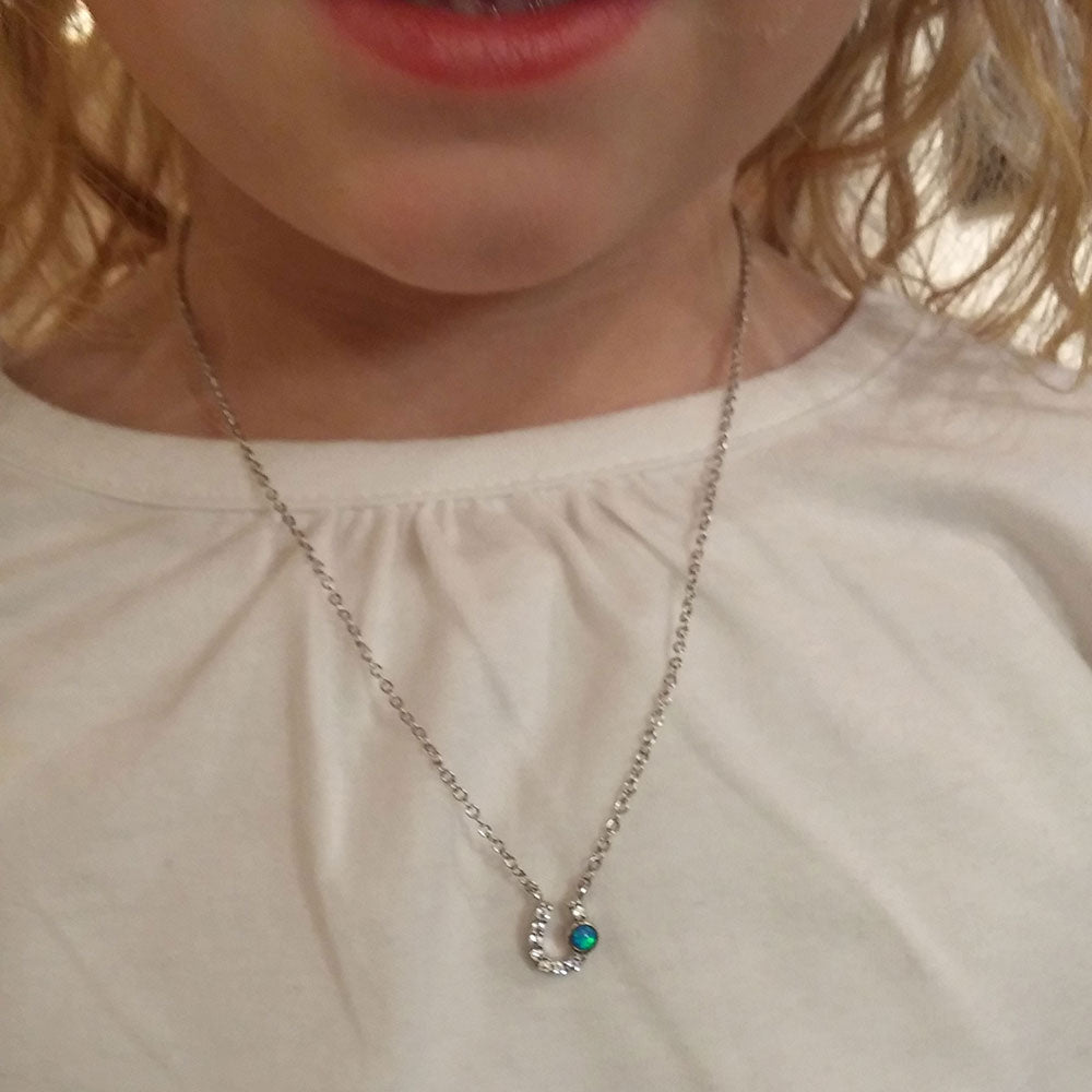 Montana Silversmiths Lightfoot Horseshoe Necklace