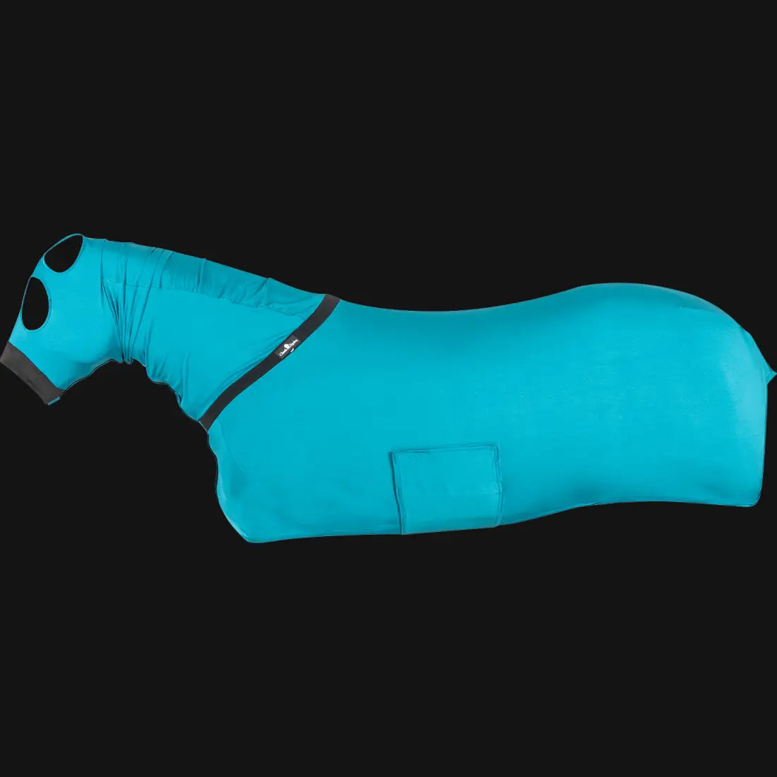 Classic Equine Full-Body Slinky Small (Yearling) / Teal Green Cooler