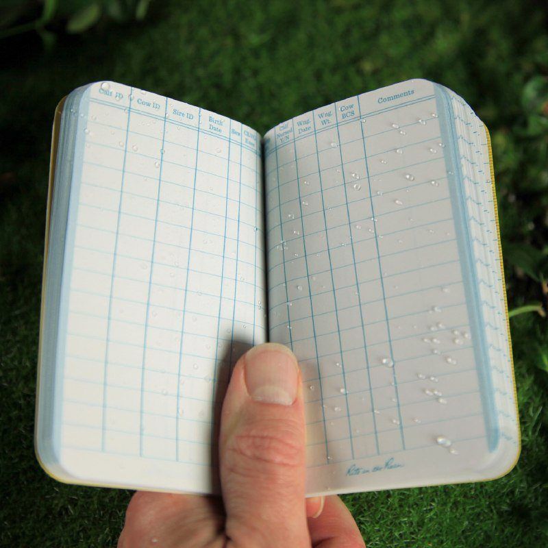 Rite In The Rain All-Weather Beef Calving Record Book