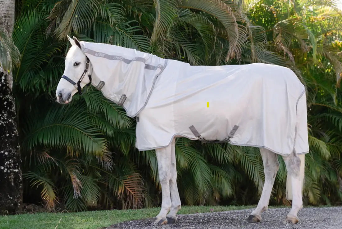 Horseware Amigo® Integrated Fly Sheet Fly Protection