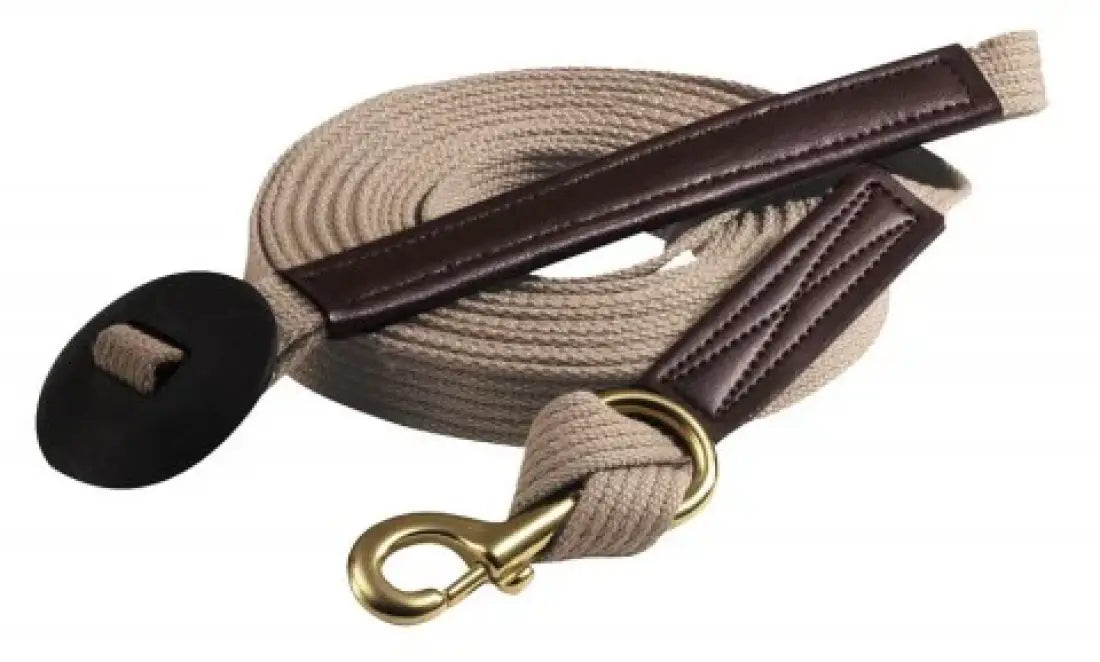 Mustang Lunge Line Training