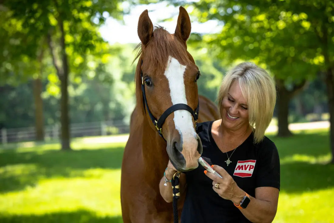 MVP Calmex V Paste Equine Supplement