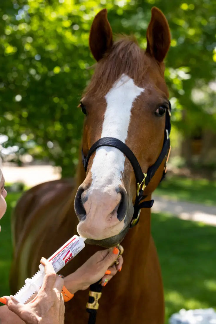 MVP Electro-Cell II Paste Equine Supplement
