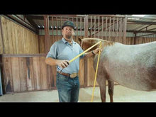 Load and play video in Gallery viewer, Classic Equine Measuring Tape
