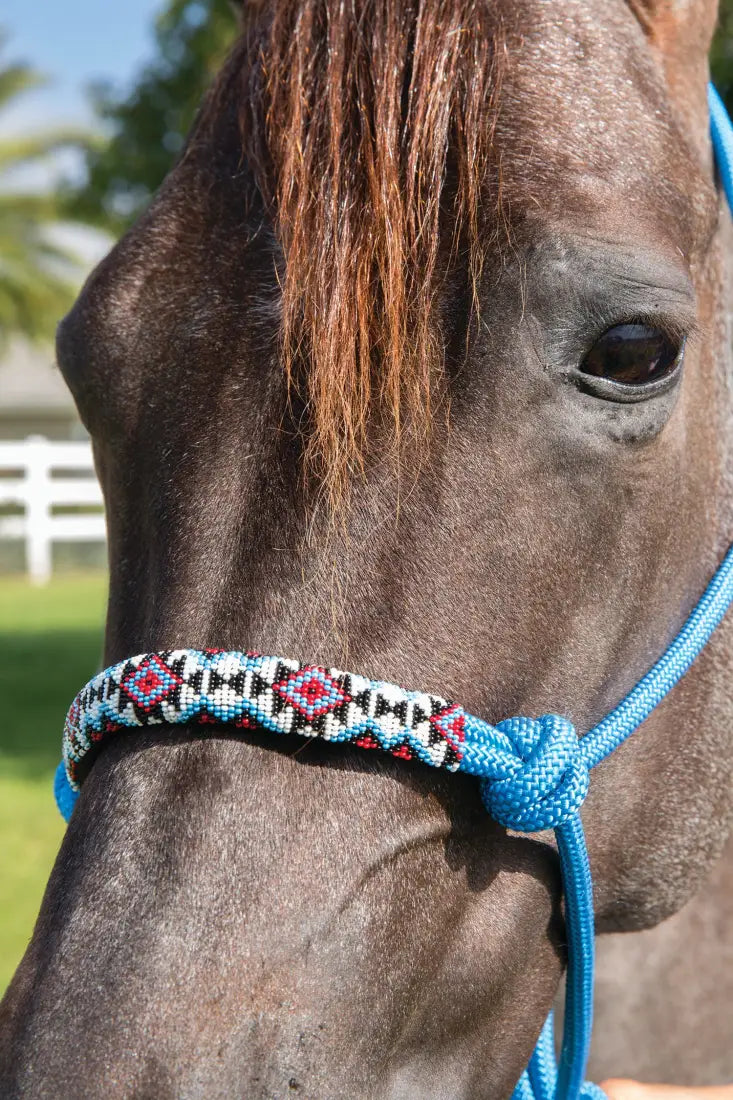 Professional’s Choice Beaded Halter w/ Lead Turquoise Halter