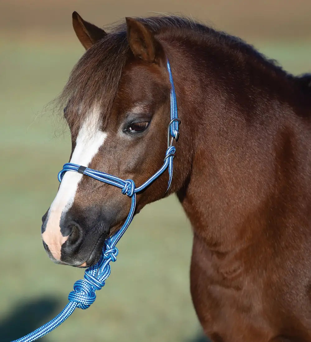 Professional’s Choice Easy On Pony Rope Halter Turquoise Halter