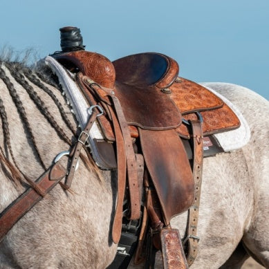 Classic Equine Orthopedic Felt/Fleece Pad 3/4"