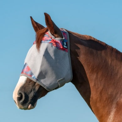 Crusader Fly Mask NO Ear (Multiple Colors/Patterns)