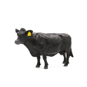 Little Buster Angus Cow