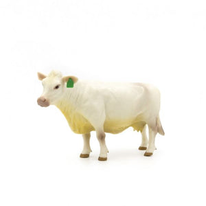 Little Buster Charolais Cow