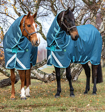 Load image into Gallery viewer, Horseware Amigo® AmECO 12 Plus Turnout (250g Medium) Winter Blanket

