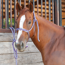 Load image into Gallery viewer, Classic Equine Colored Mule Tape Halter with Lead
