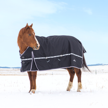Load image into Gallery viewer, Classic Equine 10K Cross Trainer Winter Blanket - No Neck
