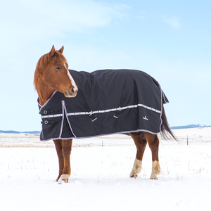 Classic Equine 10K Cross Trainer Winter Blanket - No Neck