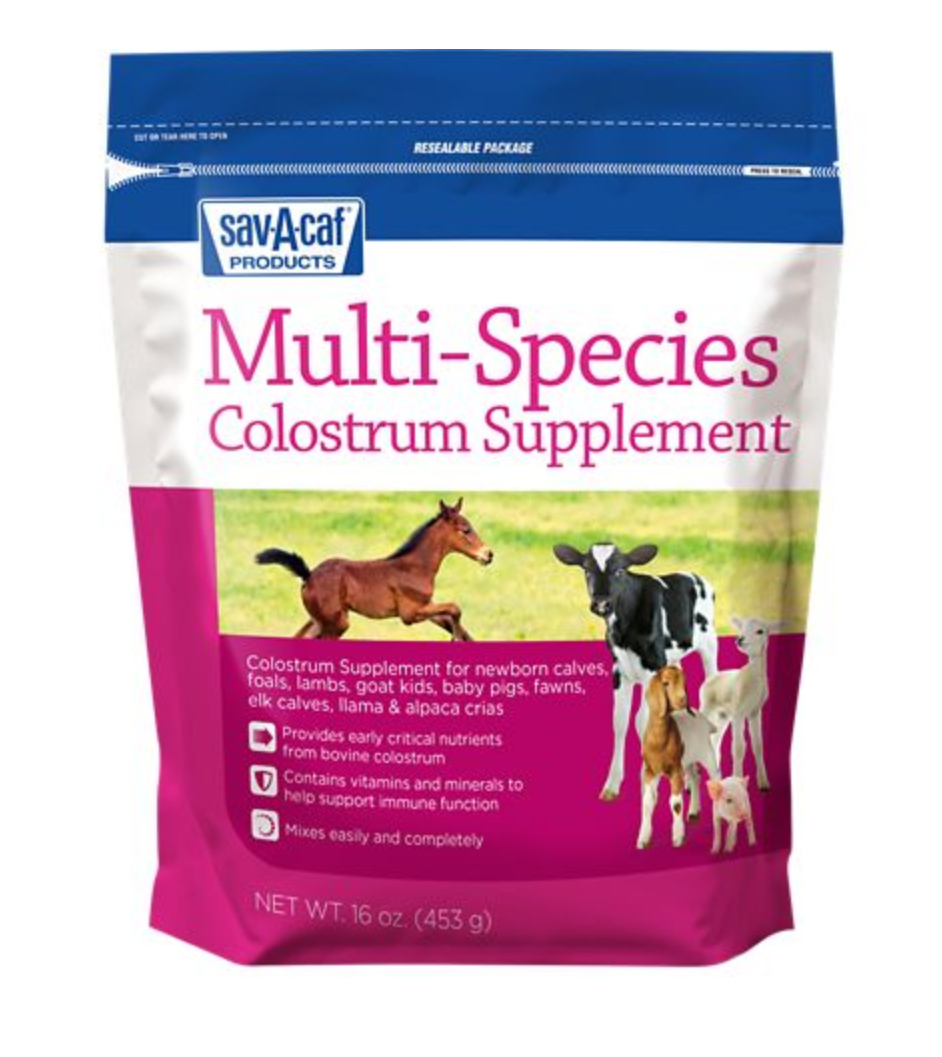 Sav-A-Caf Multi Species Colostrum Supplement 1 lb