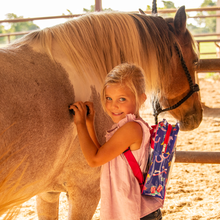 Load image into Gallery viewer, Classic Equine Kids Groom Kit
