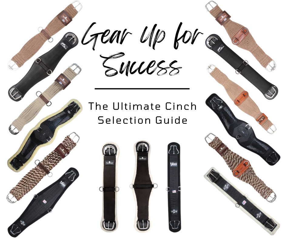 Gear Up for Success: The Ultimate Cinch Selection Guide