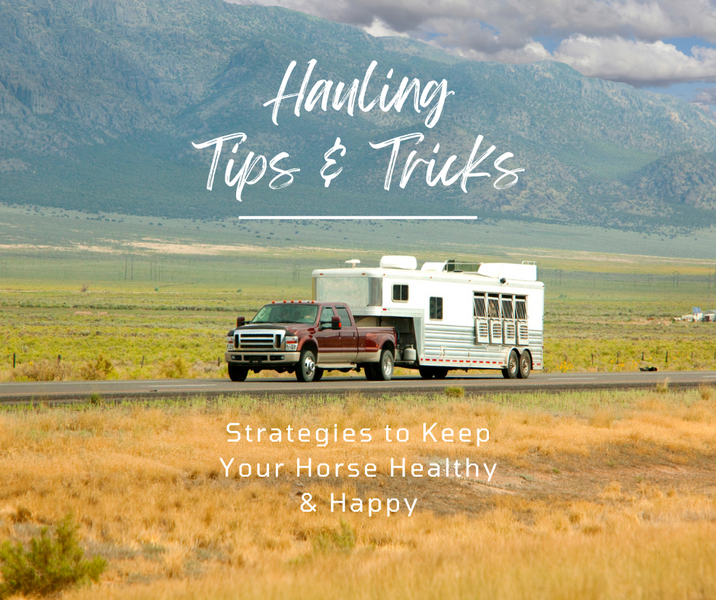 Hauling Tips & Tricks: Strategies to Keep Your Horse Healthy & Happy