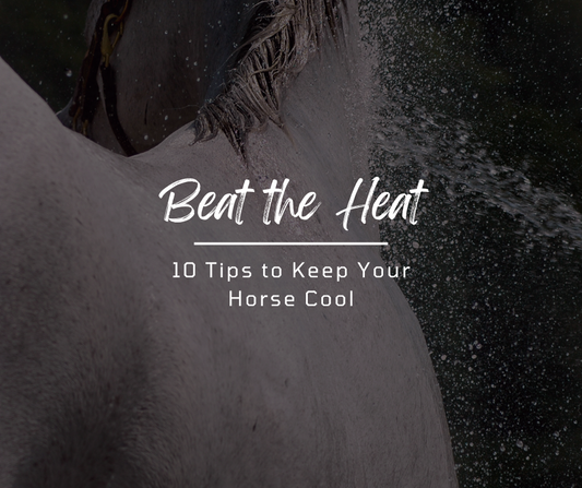 Beat the Heat: 10 Tips to Keep Your Horse Cool