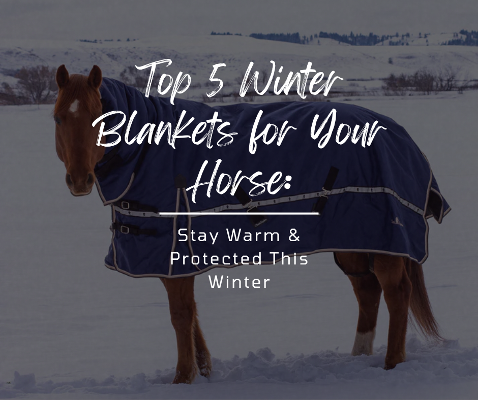 Top 5 Winter Blankets for Your Horse: Stay Warm & Protected This Winter