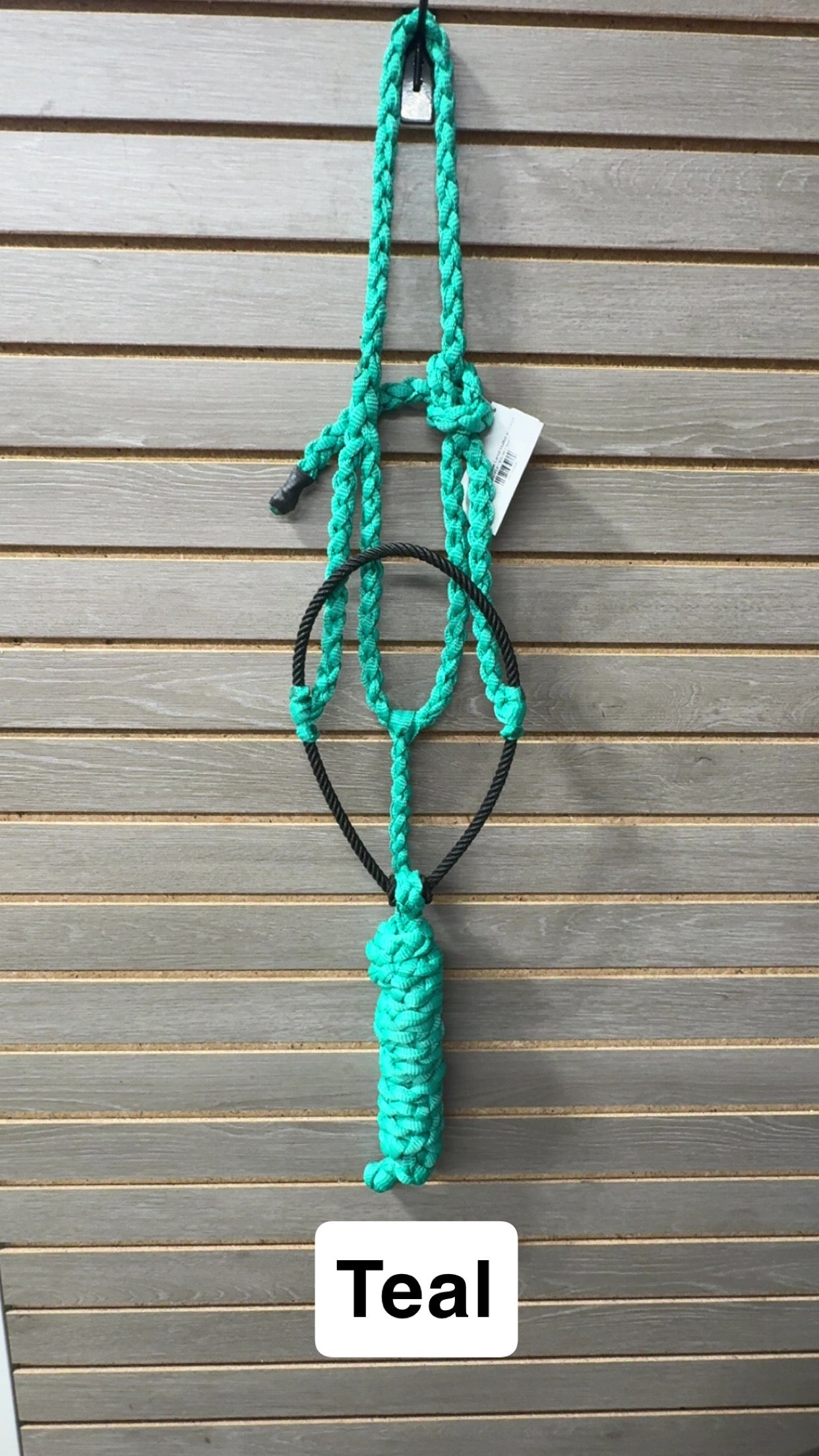Special C Muletape Lariat Halter w/ Lead