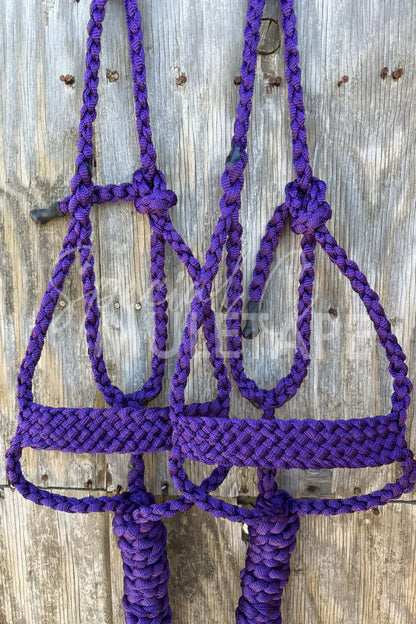 Special C Muletape Brute Halter w/ Lead
