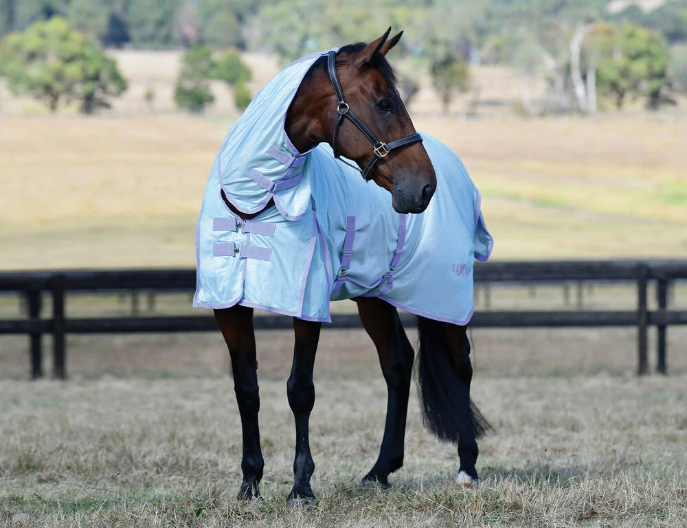 Sale Saxon Mesh Fly Sheet With Gusset Belly Wrap & Combo Neck