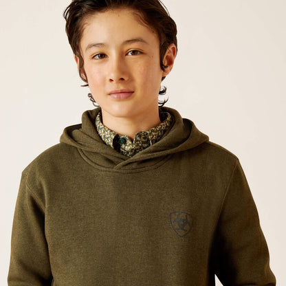 Ariat Boy's Brine Olive Faded Flag Hoodie