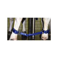 Heavy Duty Fully Adjustable Cattle/Cow Cufflink Hobbles