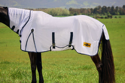Saxon Mesh Combo Neck Fly Sheet with Belly Wrap