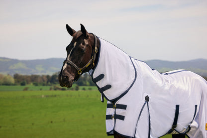 Saxon Mesh Combo Neck Fly Sheet with Belly Wrap