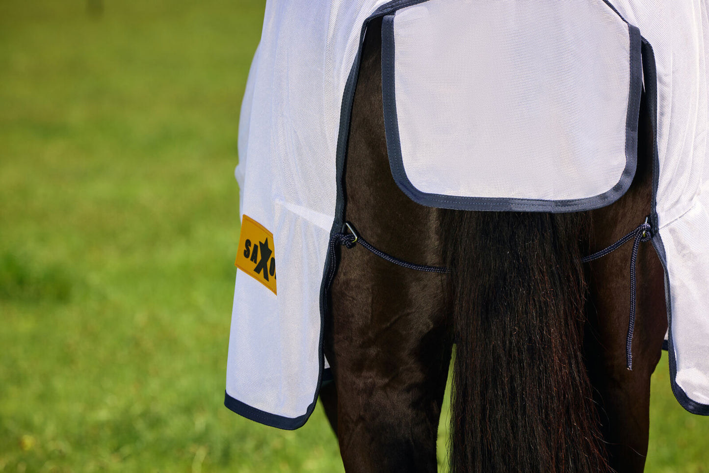 Saxon Mesh Combo Neck Fly Sheet with Belly Wrap