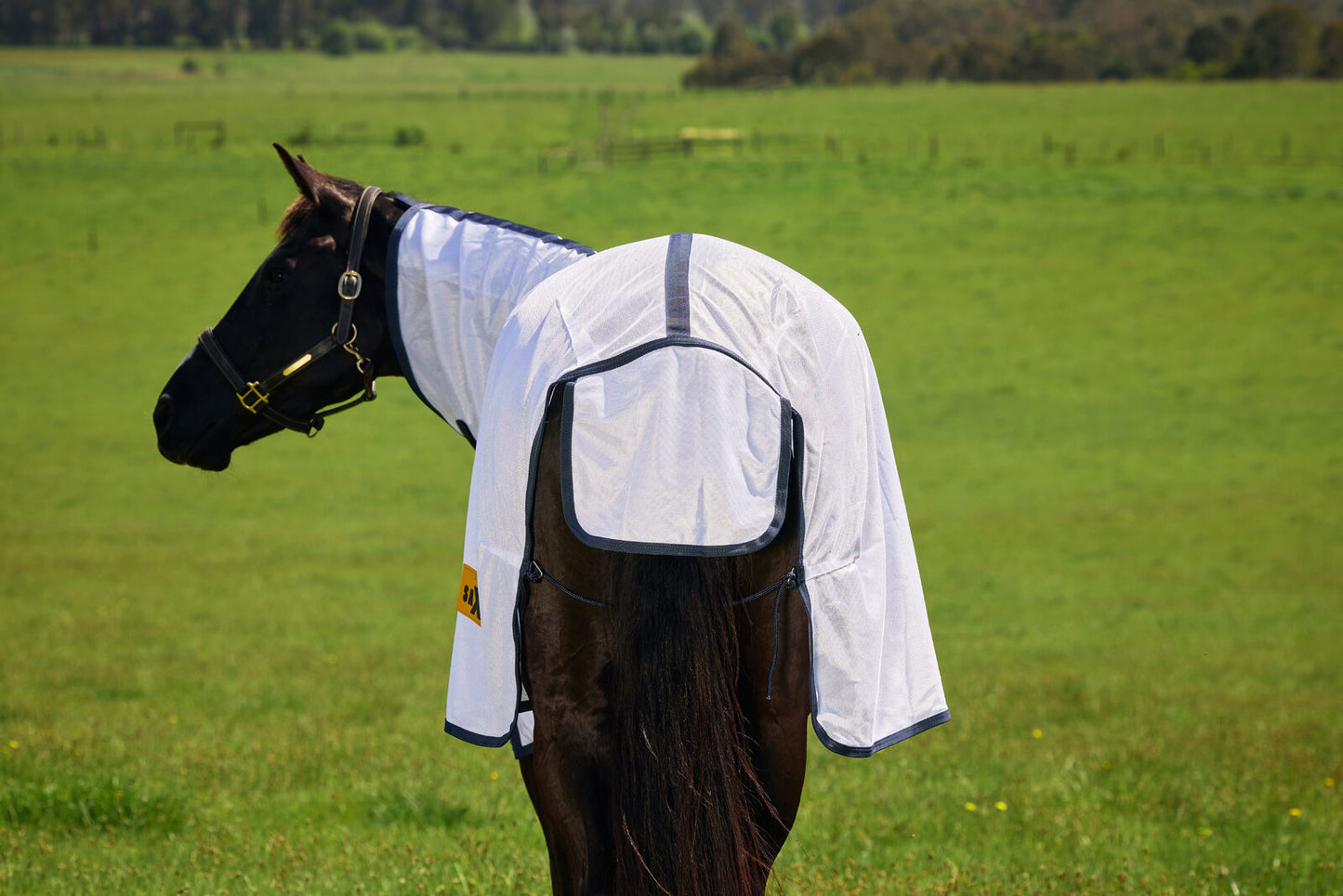 Saxon Mesh Combo Neck Fly Sheet with Belly Wrap
