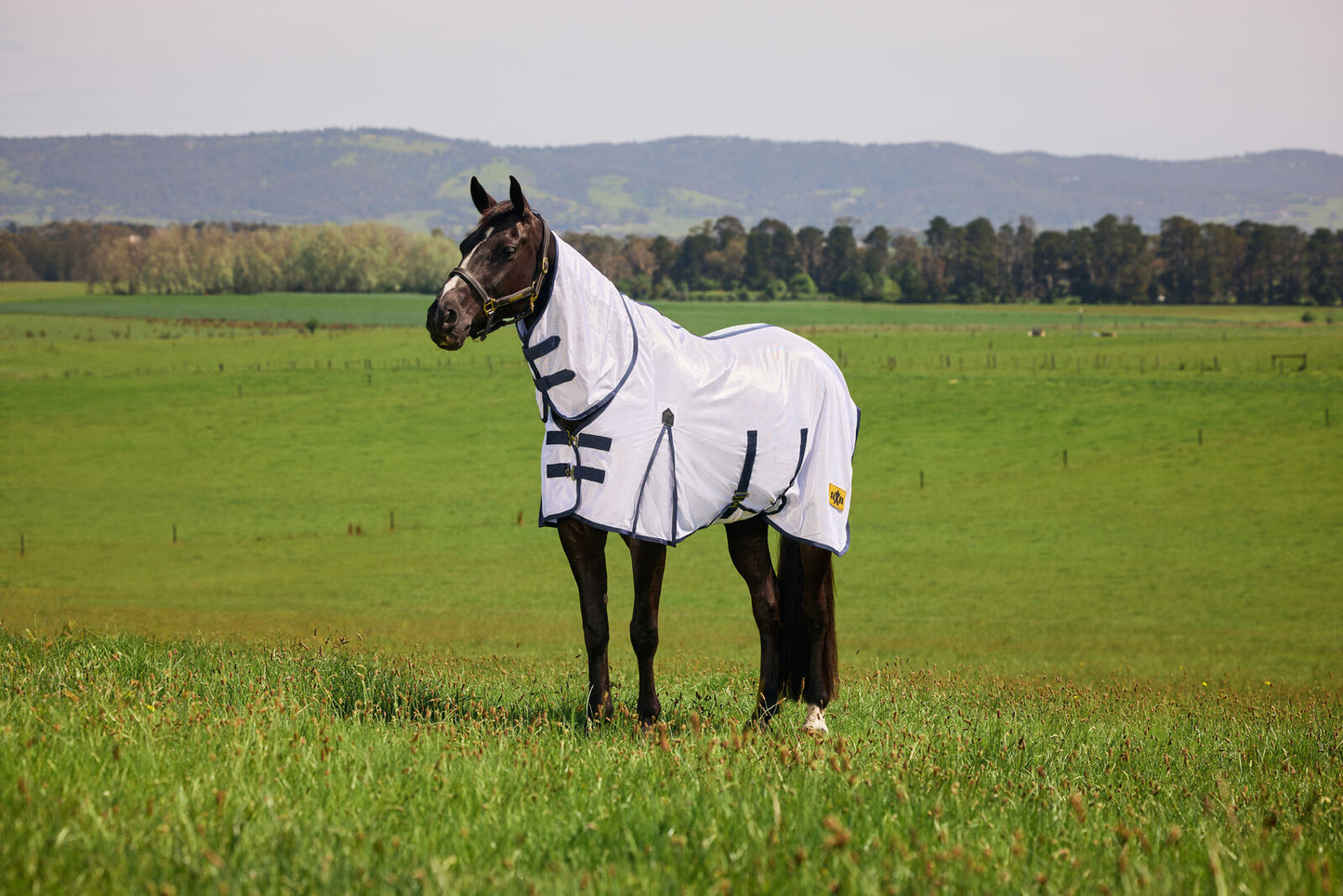 Saxon Mesh Combo Neck Fly Sheet with Belly Wrap