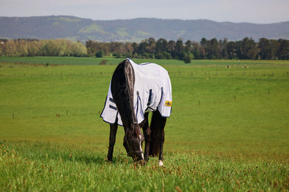 Saxon Mesh Fly Sheet with Belly Wrap