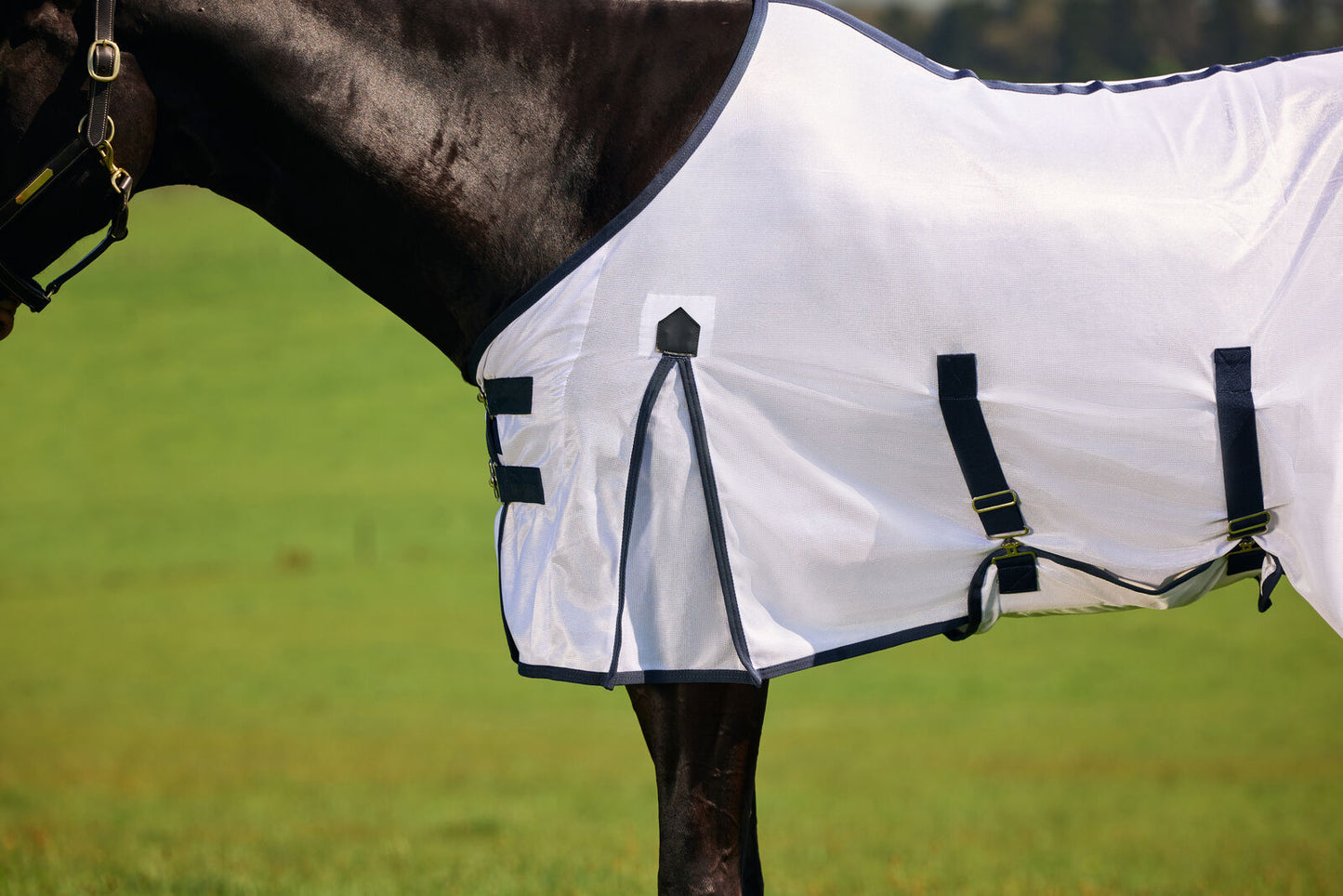 Saxon Mesh Fly Sheet with Belly Wrap