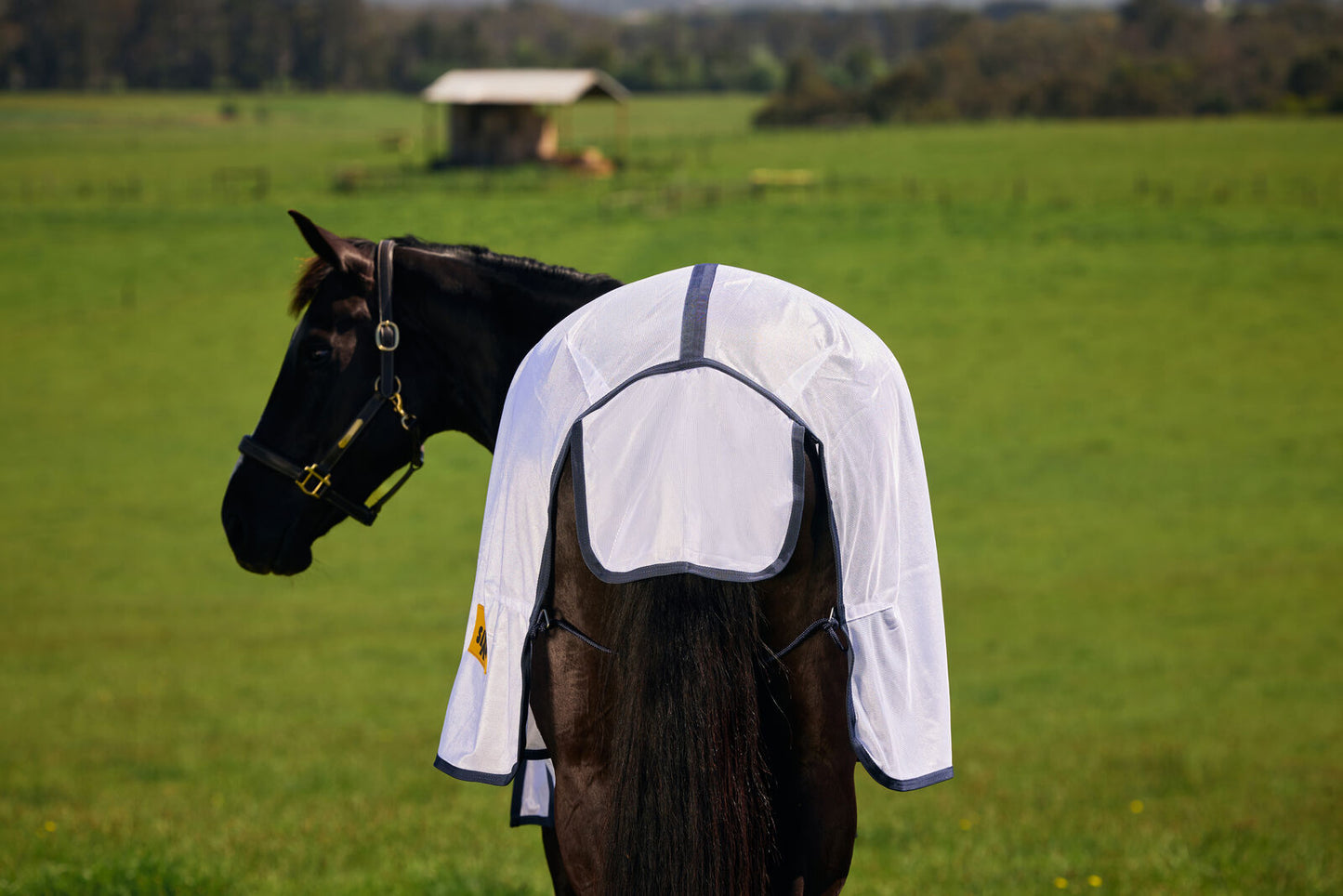 Saxon Mesh Fly Sheet with Belly Wrap