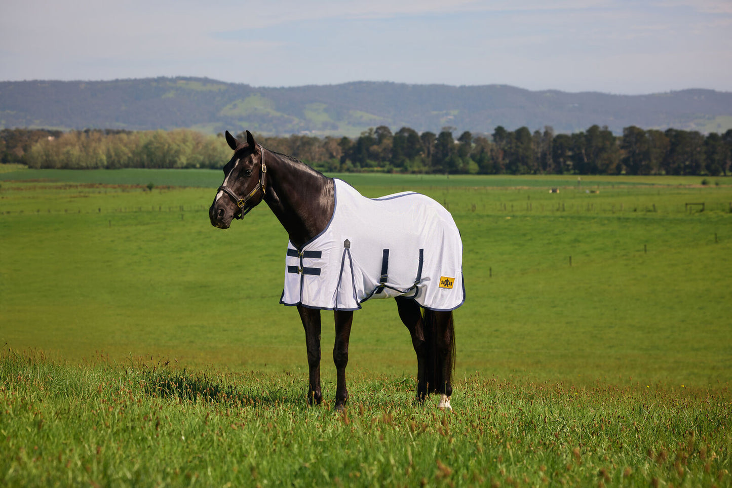 Saxon Mesh Fly Sheet with Belly Wrap