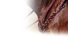 Load image into Gallery viewer, Professional&#39;s Choice Infinity Braid Breastcollar
