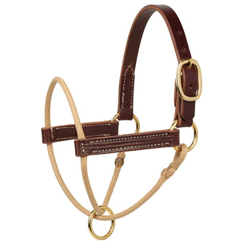 Weaver Kalley Krickeberg Foal Horseman's Halter