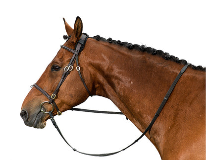 Back On Track Poll Cover